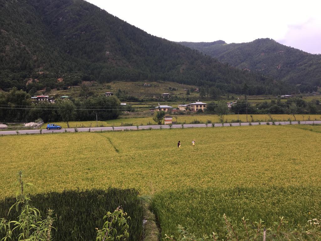 Ama'S Village Lodge Paro Kültér fotó